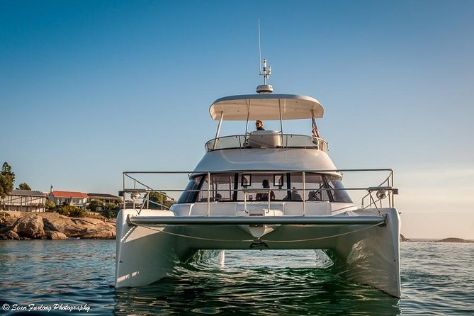 1 Hour Coastal Catamaran Cruise from Cape Town - Price and what you get for it