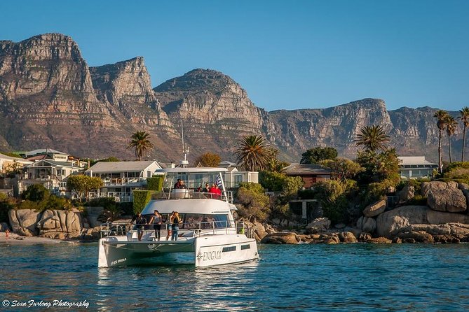 1 Hour Coastal Catamaran Cruise from Cape Town - Who will enjoy this cruise most