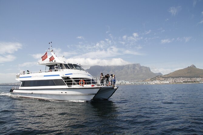 1 Hour Coastal Catamaran Cruise from Cape Town - The route to Green Point lighthouse