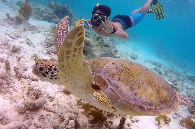100% Private Charter Snorkel, Sail, Relax (Cruisers Friendly) - Salt Pier and Bonaire’s salt-making story