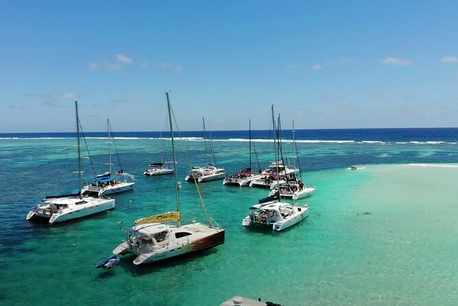 3 North Islands Catamaran Cruise with Lunch & Drinks on island. - Who will enjoy this northern-island cruise