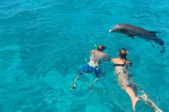 4-Hour Catamaran Sail and Snorkel Tour from Grace Bay - Little Water Cay and the rock iguana reserve
