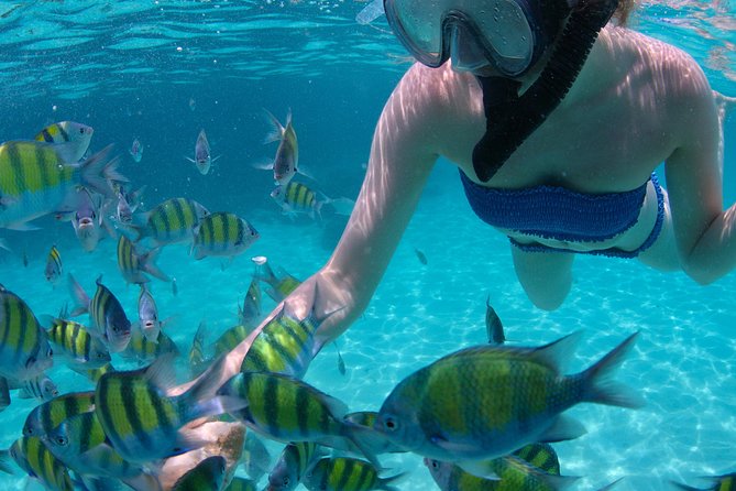 4-Hour Catamaran Sail and Snorkel Tour from Grace Bay - Lunch, rum punch, and the ride back