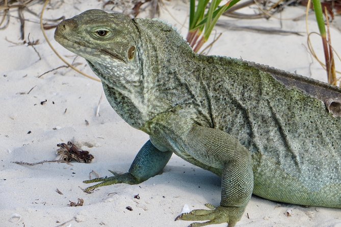 4-Hour Catamaran Sail and Snorkel Tour from Grace Bay - Half Moon Bay brings a quiet beach and nature walk