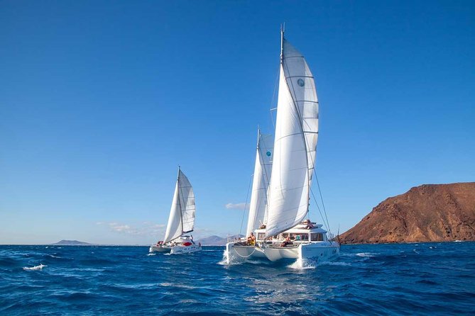 4-Hour Sailing Tour of Lobos Island from Fuerteventura - Timing, meeting point, and cancellation