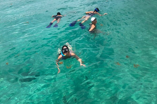 4 hours - Private 48ft Yacht all inclusive in Tulum and Playa del Carmen - Timing, transport, and practical details