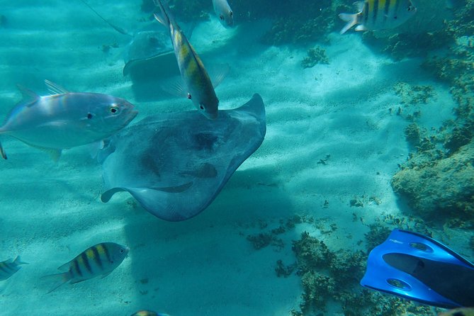4H Lux 40' Catamaran All-Inclusive in Tulum and Playa del Carmen. - Paamul Bay: snorkeling, swimming, and a beach stop