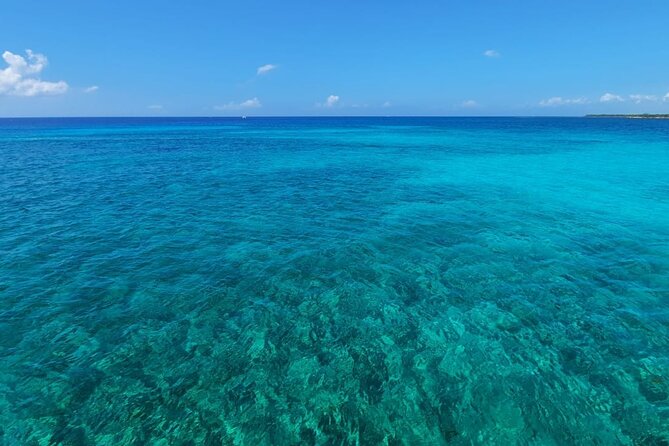 4H Luxury 44' Catamaran All-Inclusive in Tulum & Playa del Carmen - Two hours at In-Ha reef