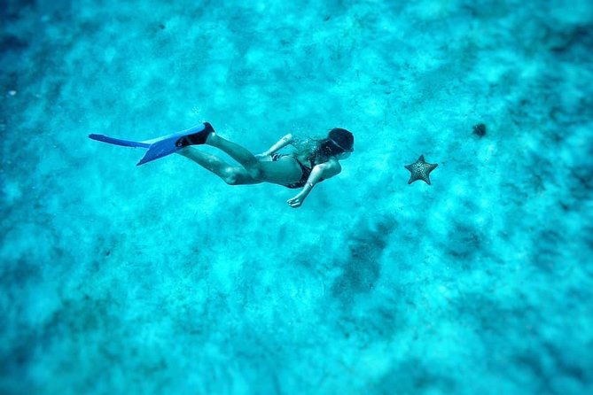5-Hour Small-Group Catamaran Cruise from Bridgetown with Lunch - Reef or shipwreck snorkeling at the second stop