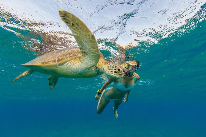 50' Luxury Yacht. Private Full or Half Day Catamaran Snorkel, & Beach Experience - Magens Bay, Sapphire Beach, and Coki Point