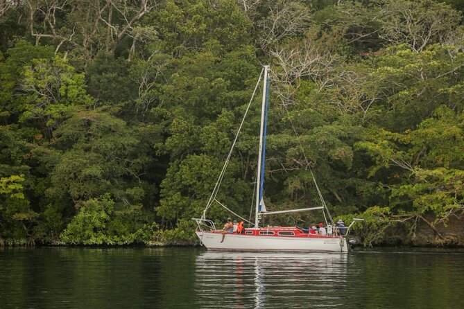 6hrs of Sailing in Bacalar Lagoon: discover Cenotes, Islands and Stromatolites. - A private boat changes the feel of the day