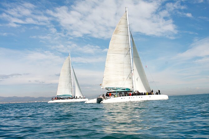 A day at sea from Dénia or Jávea with Barbecue aboard the Catamaran - Is $66.26 good value?