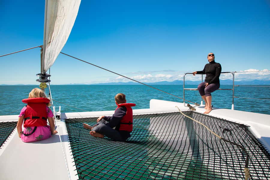 Abel Tasman National Park: Cruise, Walk & Sailing Tour - Fur seals, caves, and coastal wildlife