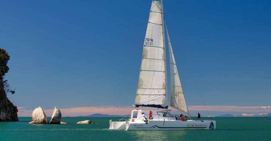 Abel Tasman National Park: Day Sailing Adventure with Lunch - The fur seal colony and island wildlife