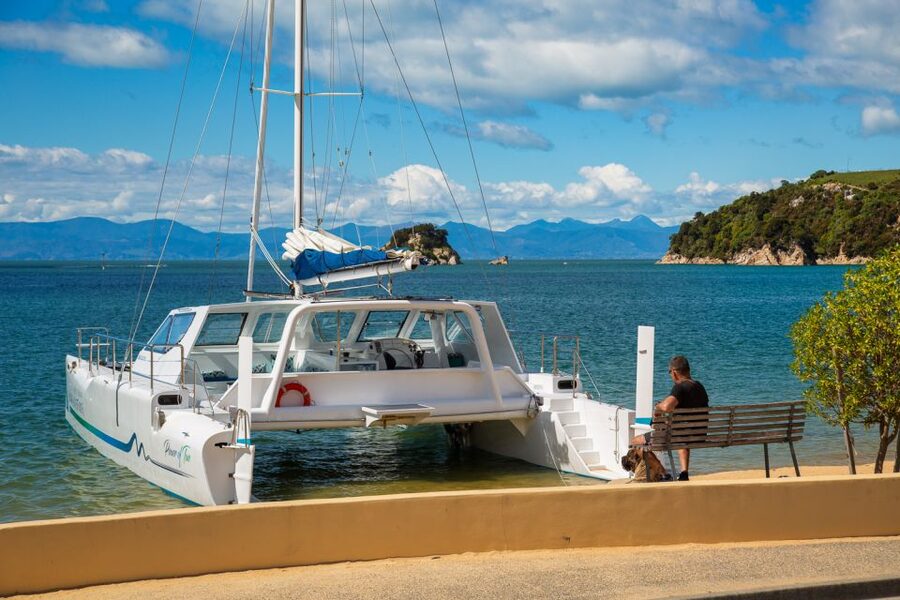 Abel Tasman National Park: Day Sailing Adventure with Lunch - What the sailing feels like in different weather