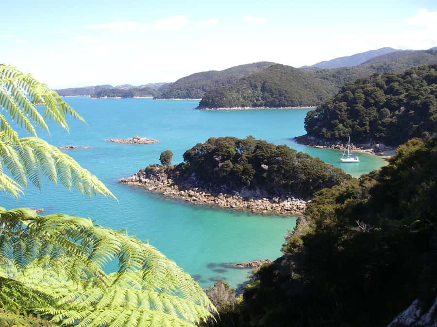 Abel Tasman National Park: Sailing and Self-Guided Walk - From Marahau to Kaiteriteri by van