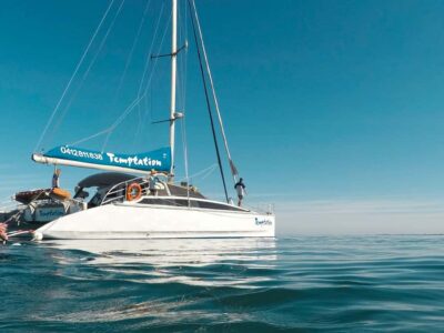 Glenelg Twilight Catamaran Cruise with Drink