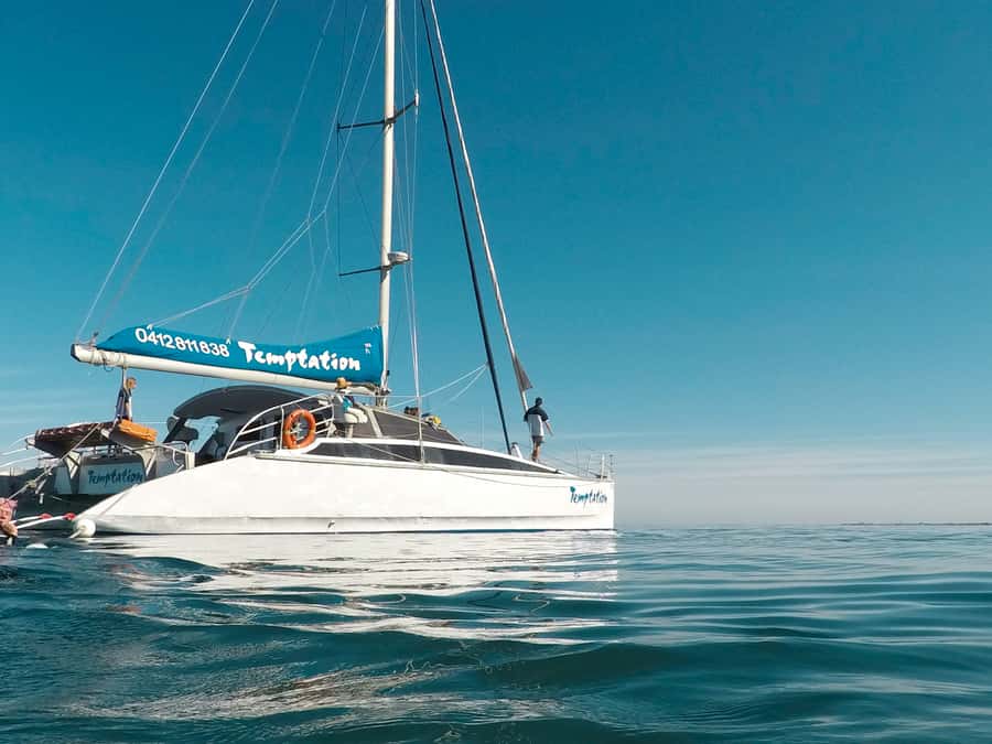 Adelaide: Glenelg Twilight Catamaran Cruise with Drink - What the 90 minutes actually feels like