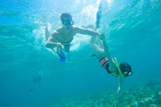 Afternoon Half-Day Catmaran Sailing and Snorkel Adventure - Pickup, check-in, and timing tips