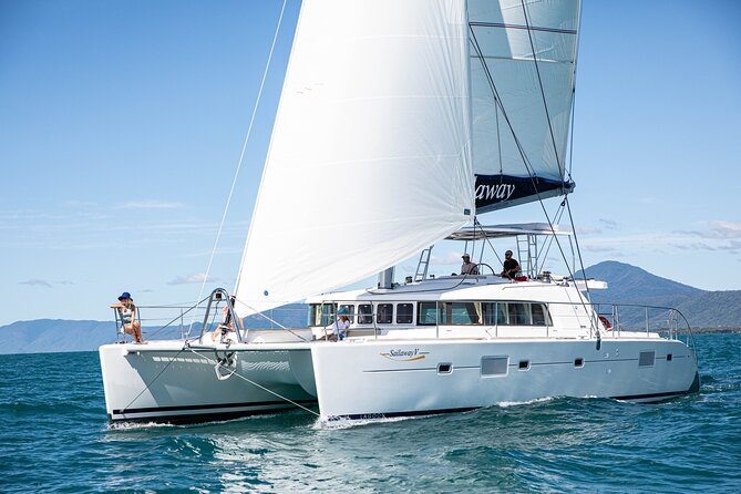 Afternoon Low Isles Snorkelling & Sunset Sail from Port Douglas - The sunset sail back to Port Douglas