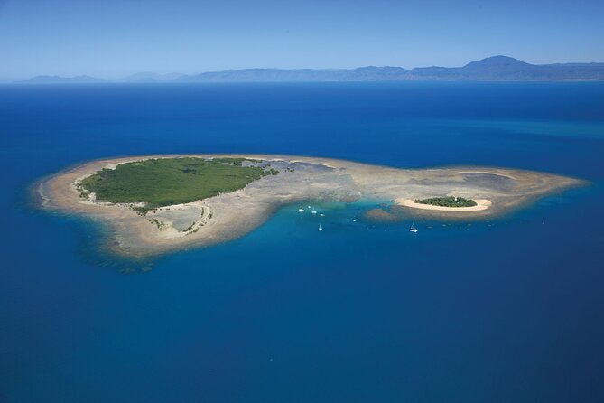 Afternoon Low Isles Snorkelling & Sunset Sail from Port Douglas - Is $243.86 per person good value?
