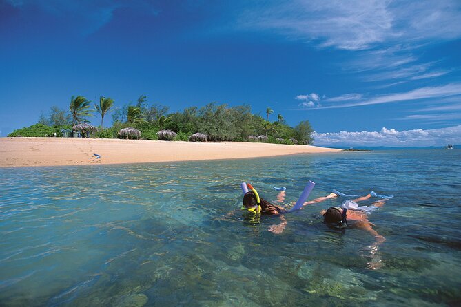 Afternoon Low Isles Snorkelling & Sunset Sail from Port Douglas - Who should book this Low Isles trip?
