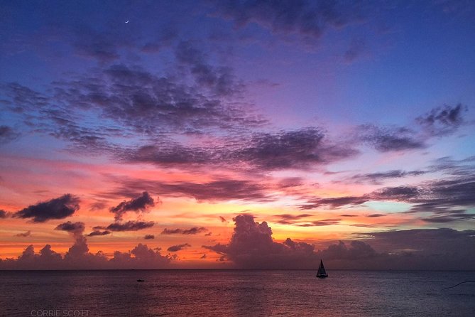 Afternoon Luxury Catamaran Sailing and Charter Cruise from Bridgetown - Canapes, snacks, and a premium bar