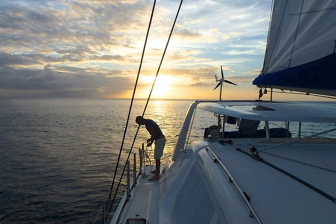 Afternoon Luxury Catamaran Sailing and Charter Cruise from Bridgetown - Second stop: reef or shipwreck, depending on conditions