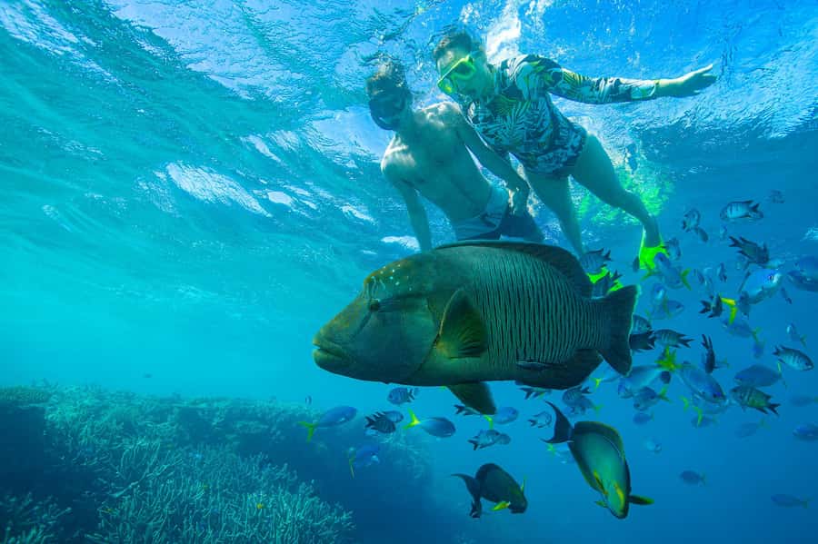 Airlie Beach: Adults-Only Whitehaven Beach Sailing Tour - Weather, comfort, and practical limits