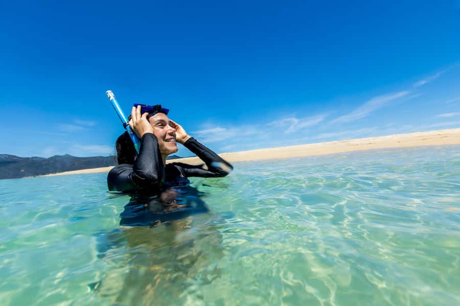 Airlie Beach: Adults-Only Whitehaven Beach Sailing Tour - What the $201 price really buys you