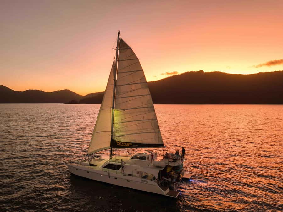 Airlie Beach: BYOB Sunset Sail in Style Catamaran Cruise - Meeting at Coral Sea Marina