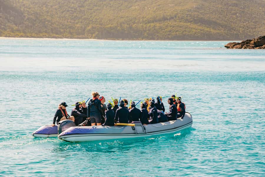 Airlie Beach: Whitsundays Full-Day Camira Sailing Adventure - The Hill Inlet walk and lookout