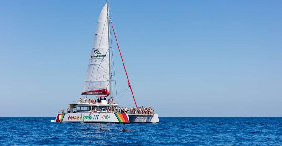 Alcudia: Sunset Catamaran Tour with Dinner and Snorkeling - Setting sail from Alcudia toward northern Mallorca