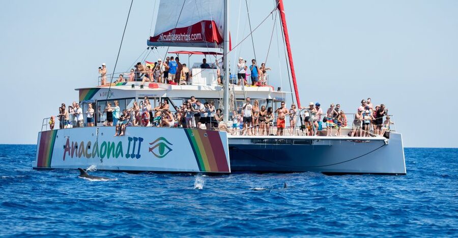 Alcudia: Sunset Catamaran Tour with Dinner and Snorkeling - The quiet cove and its long water stop