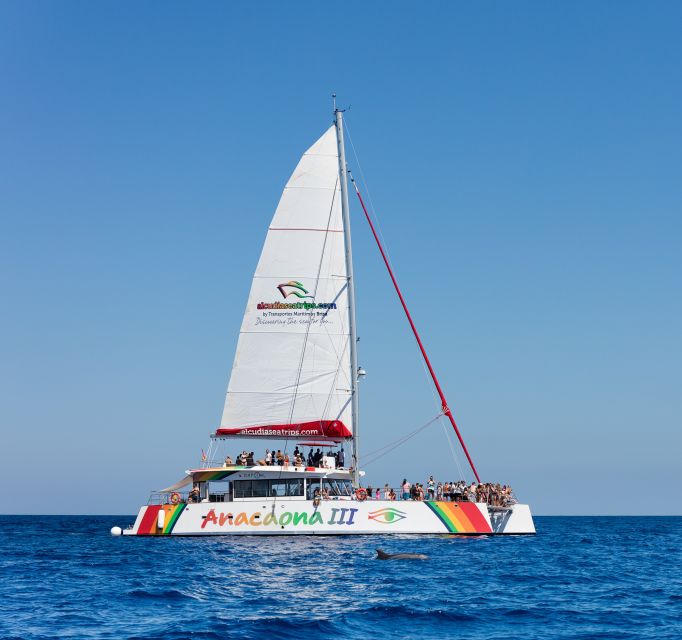 Alcudia: Sunset Catamaran Tour with Dinner and Snorkeling - The overall mood on board