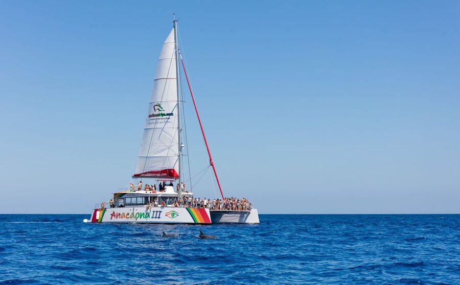 Alcudia: Sunset Catamaran Tour with Dinner and Snorkeling - Sunset views from the bay