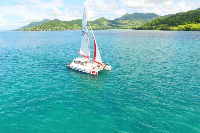 All inclusive CATAMARAN with BBQ : Ile aux cerf & GRSE waterfall - The ride back and private return