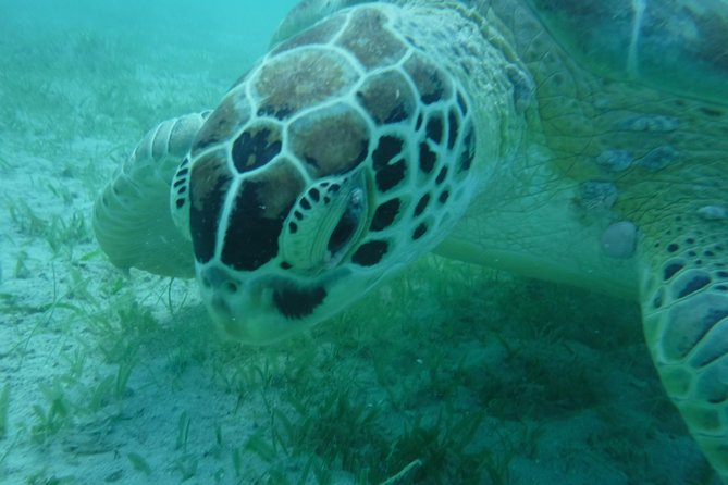 All-Inclusive Sunset Sail - Semi Private - Only 6 Guests - Swimming and snorkeling from the boat
