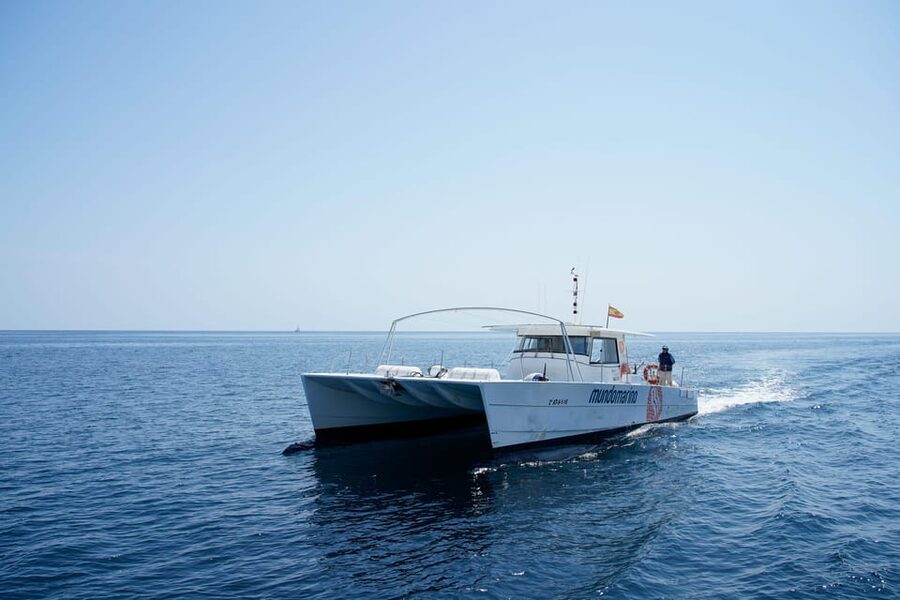 Altea: Motor catamaran with optional lunch and swimming stop - The coastal cruise and Serra Gelada views