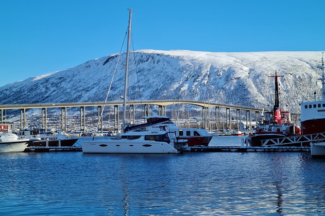 Arctic Fjordcruise & Safari in Tromso with Luxury Catamaran - Fishing, waterfalls, and coastal details
