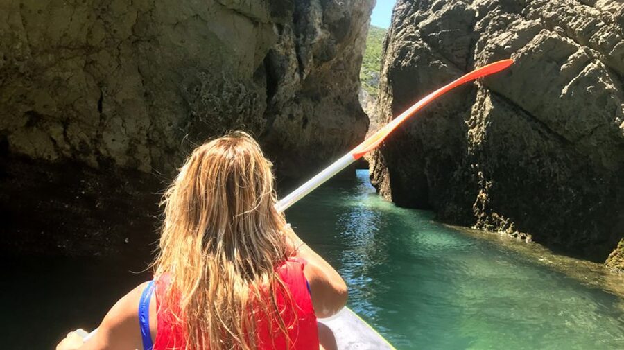 Arrábida Full-Day Yacht Tour from Lisbon - Dolphins, birds, and the Sado coast