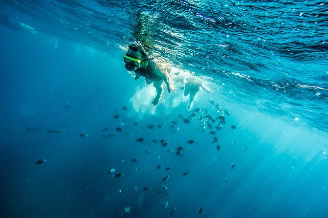 Aruba Afternoon Snorkel Sail aboard Palm Pleasure Catamaran - Why the Antilla wreck makes this sail special