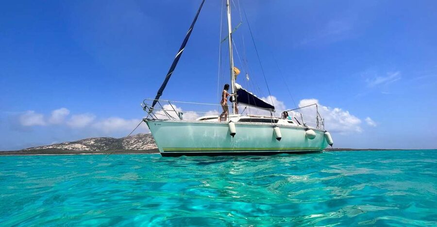 Asinara: Full Day Sailboat Excursion from Stintino - Setting sail from Marina di Stintino