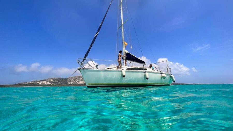 Asinara: Full Day Sailboat Excursion from Stintino - La Pelosa and the other possible stops