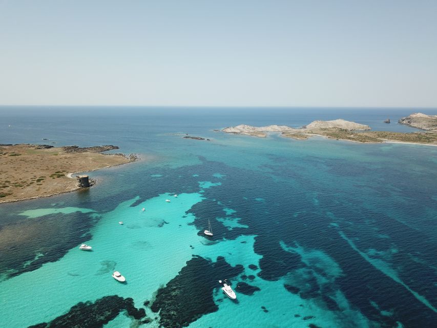 Asinara: Full Day Sailboat Excursion from Stintino - Who will enjoy this day most?