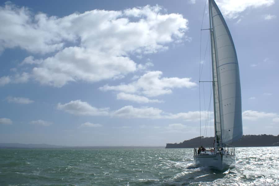 Auckland Harbour 1.5-Hour Sailing Cruise - Should You Book the Auckland Sailing Cruise?