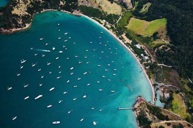 Auckland Harbour Sailboat Cruise Including Three Course Dinner - Who should book this Auckland sailing cruise?
