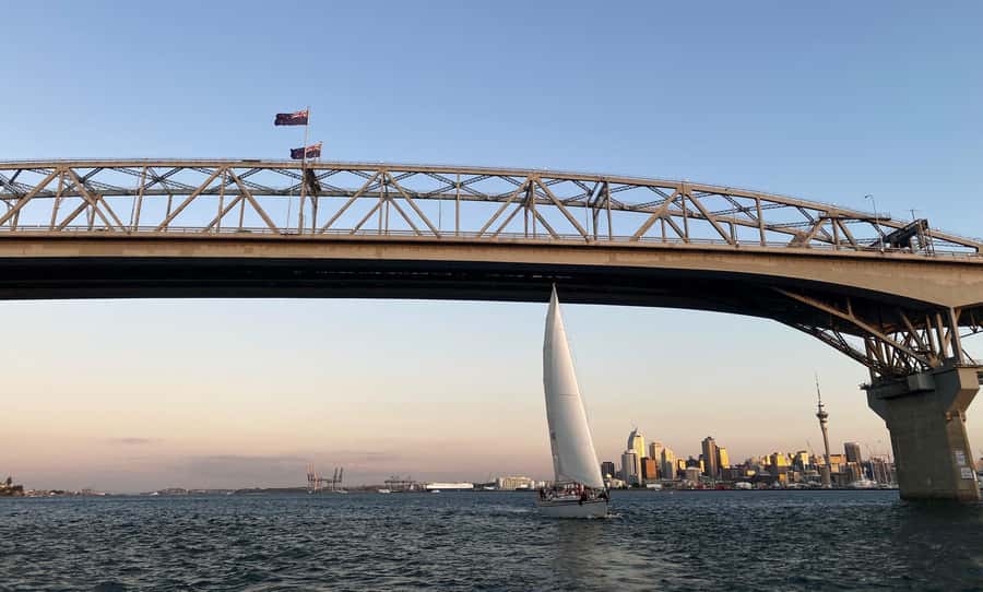 Auckland: Harbour Sailing Cruise with 3-Course Dinner - Key points to know before you sail
