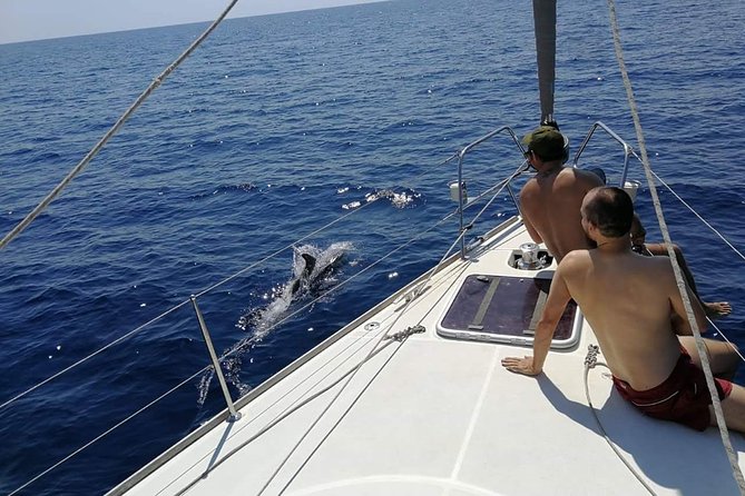 Authentic Barcelona Sailing Tour with Swim & Drinks - Barceloneta and Port Olímpic from the sea