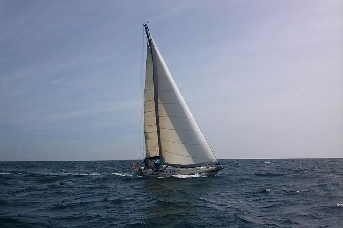 Authentic Barcelona Sailing Tour with Swim & Drinks - What the skipper adds to the experience